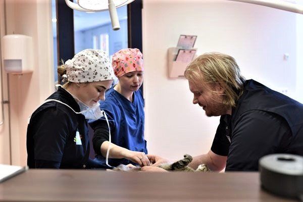 De Dierenarts van Kennel Angfiero DierenDokters Breda