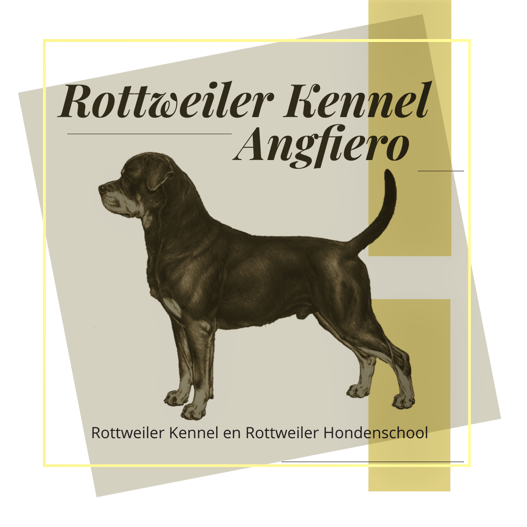 Rottweiler Angfiero Logo