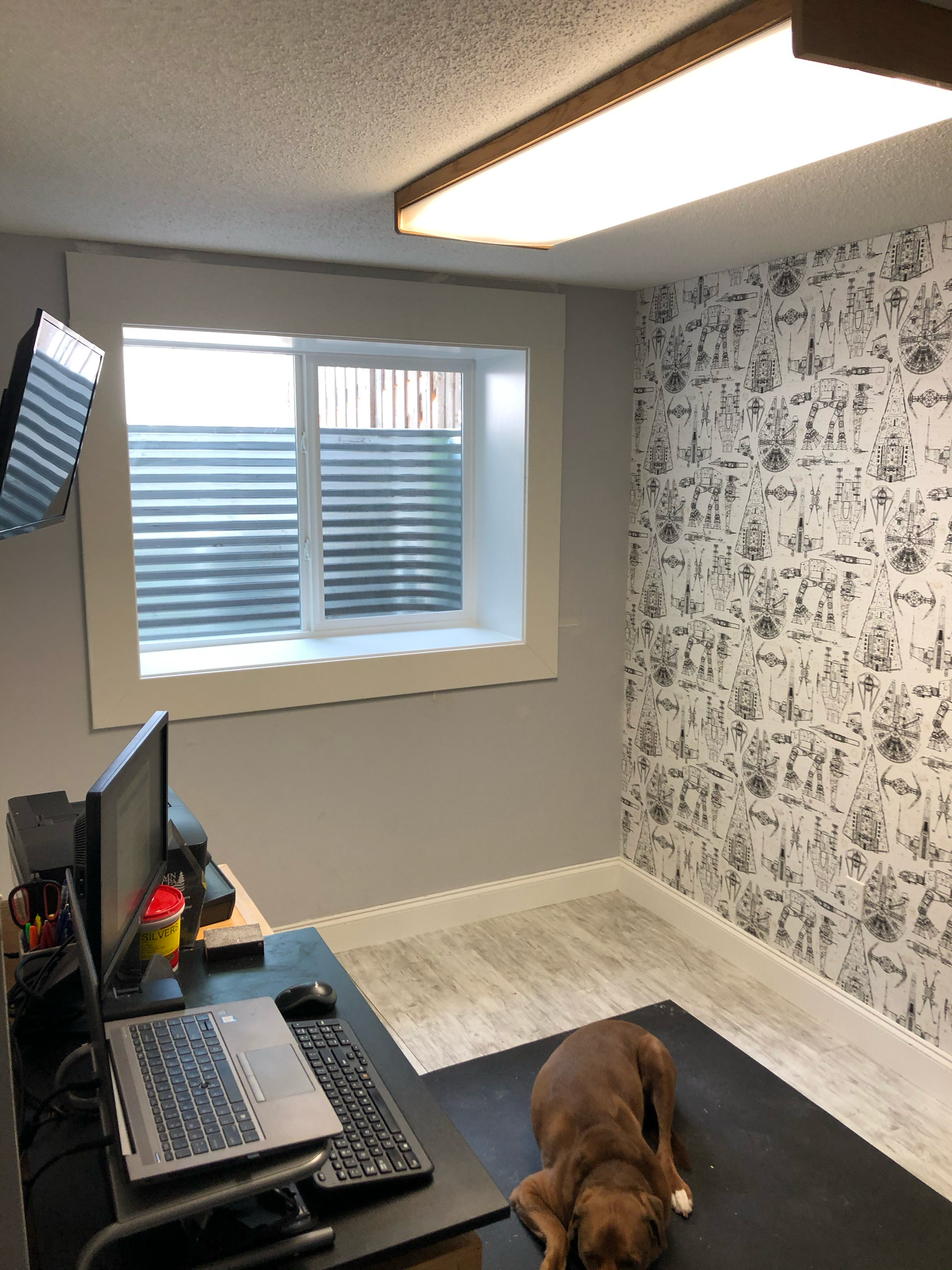 A dog is laying on a yoga mat in front of a computer desk.