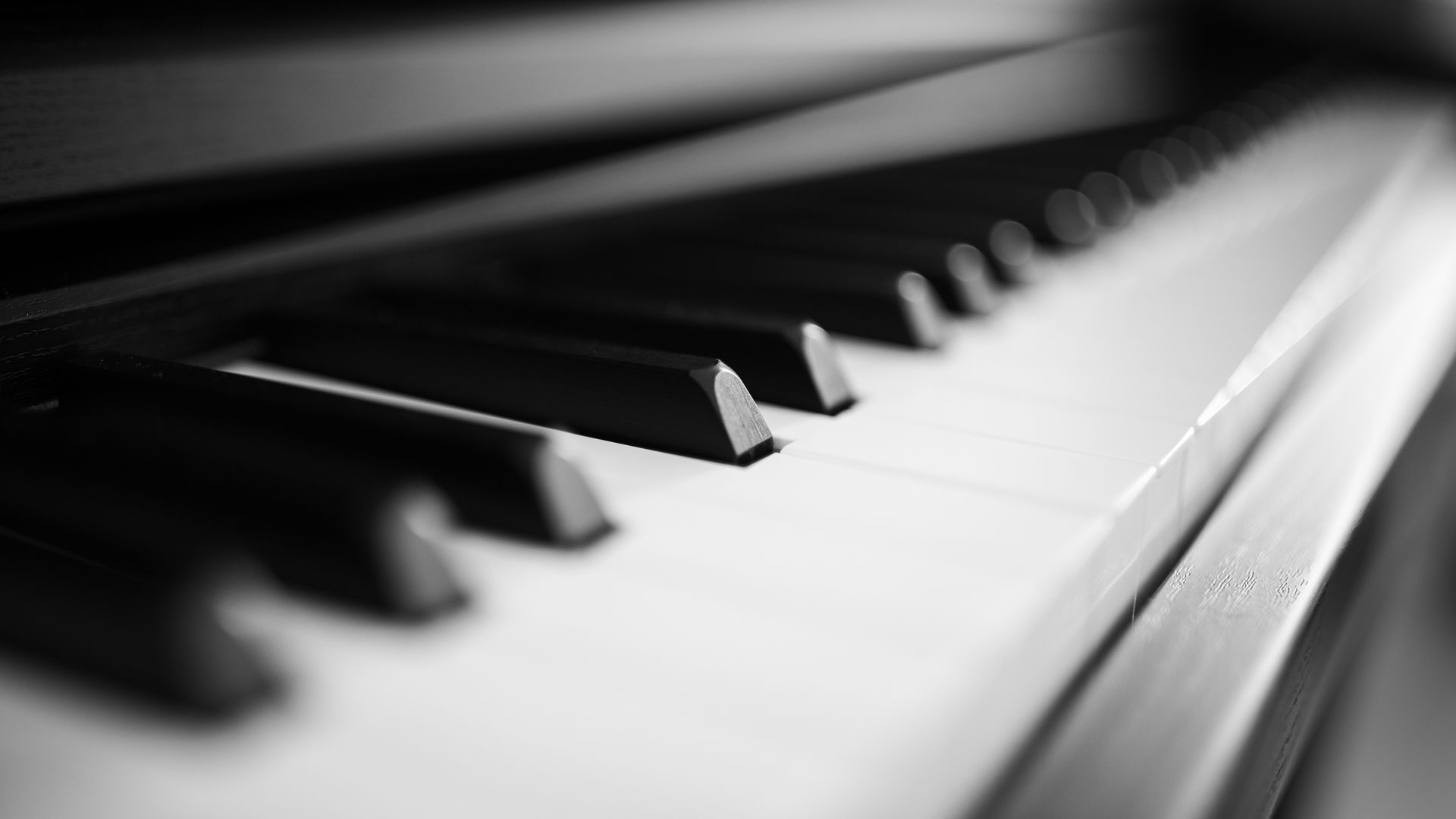 Primo piano in bianco e nero dei tasti del pianoforte, prospettiva angolata che mostra i tasti bianchi e neri.