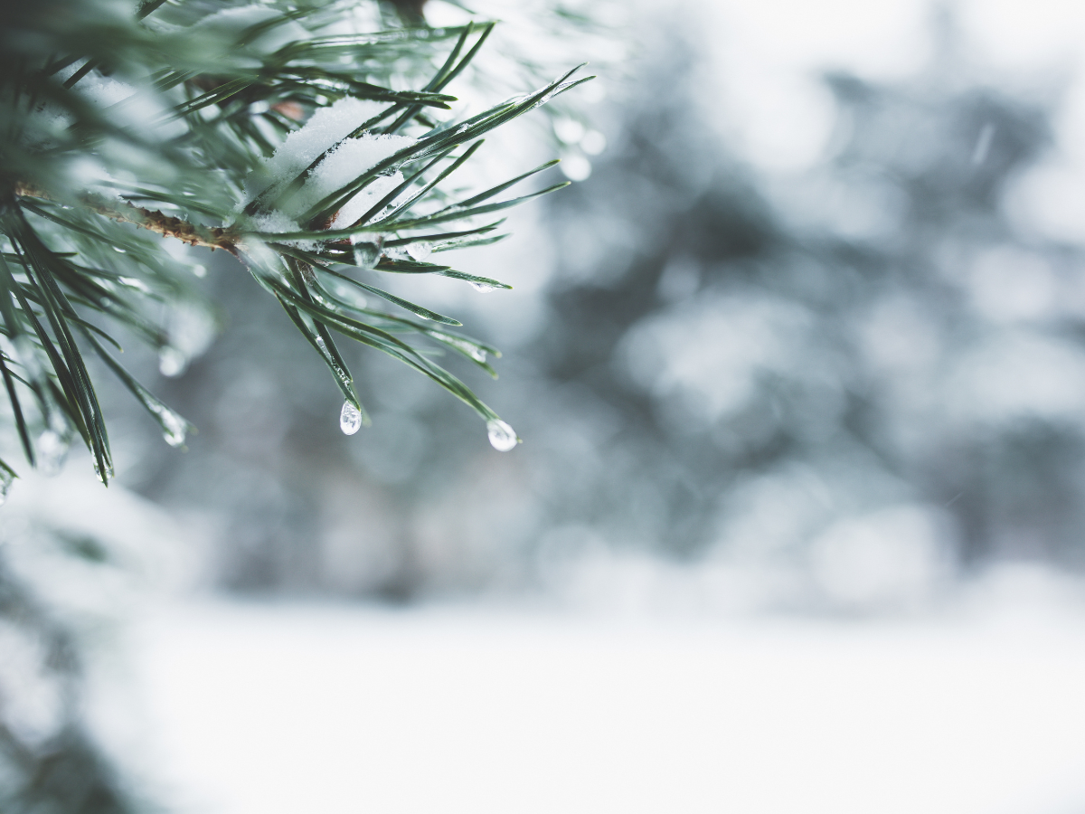 Man with glasses, looking at documents, thoughtful expression, laptop on desk. Kitchen setting. Man with glasses, looking at documents, thoughtful expression, laptop on desk. Kitchen setting.