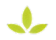 Leaf Icon