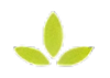 Leaf Icon