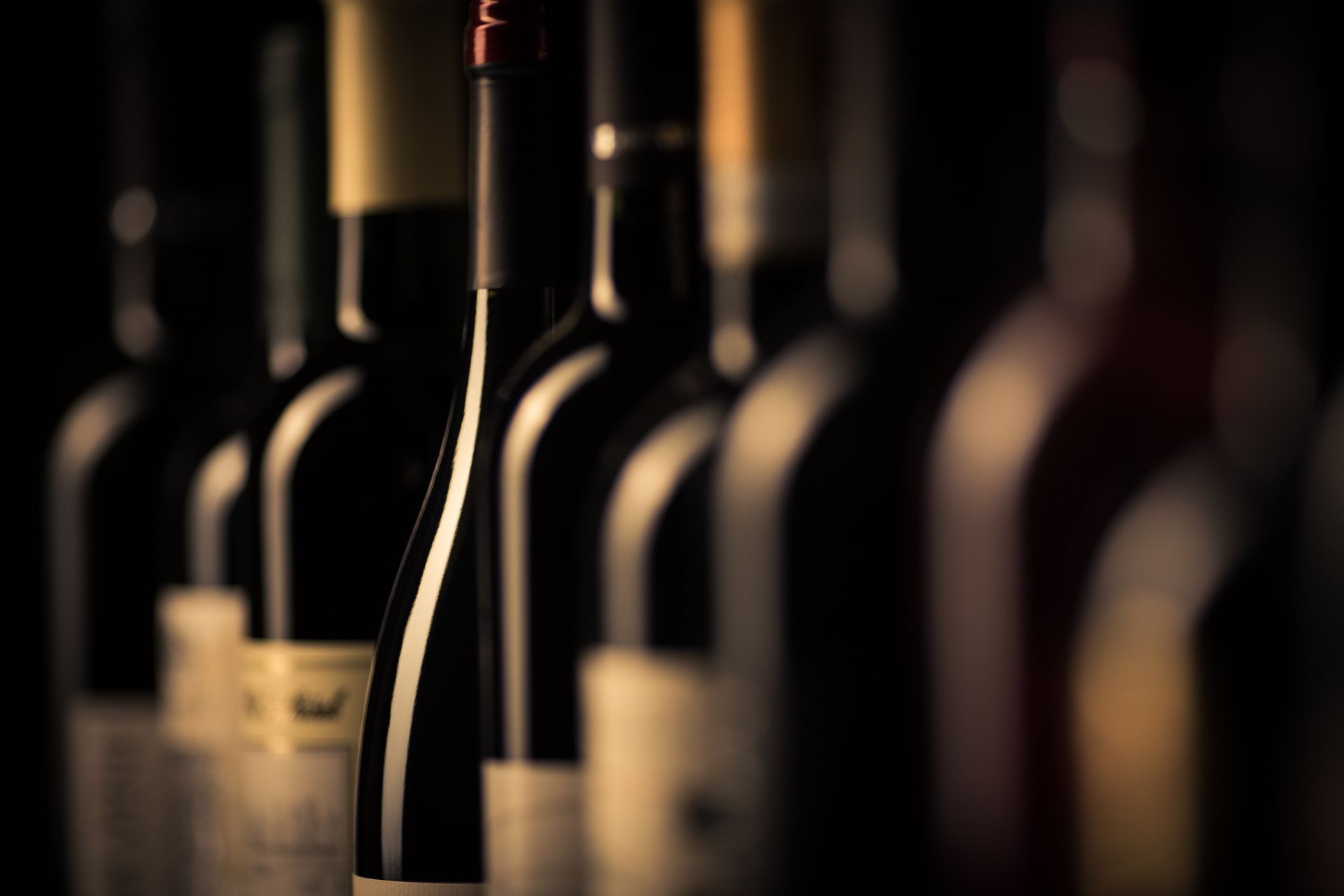 Row of wine bottles in a dark, softly lit cellar or display. Row of wine bottles in a dark, softly lit cellar or display.
