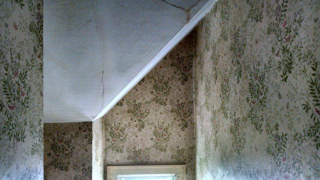 Before wallpaper removing — Monona, WI — Thrift Painting