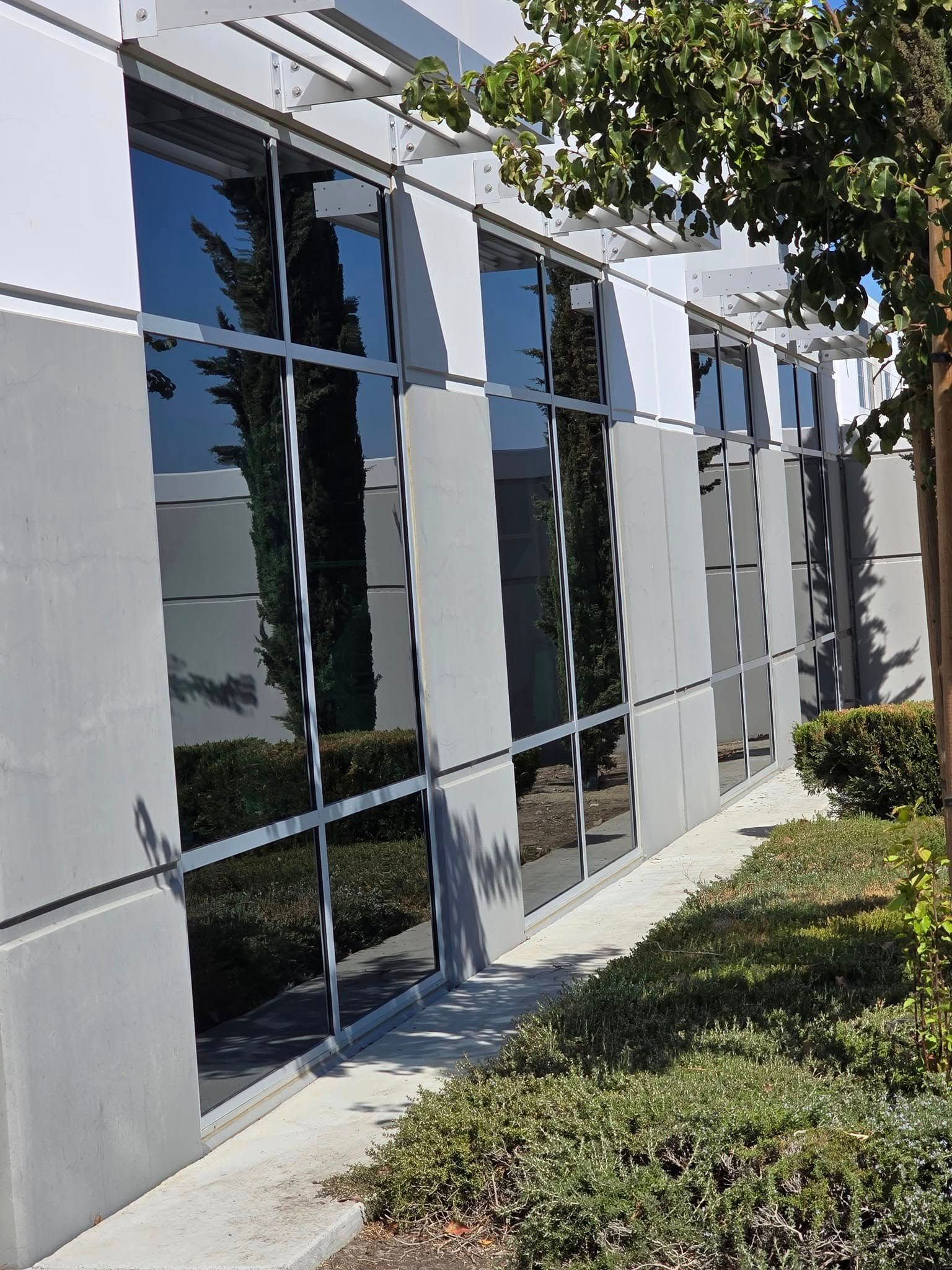 A building with a lot of windows and a tree in front of it