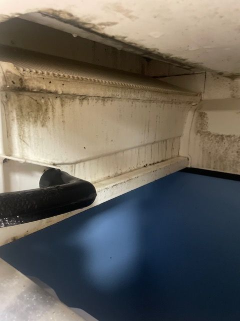 White interior with mold, a dark blue floor, and a black pipe.