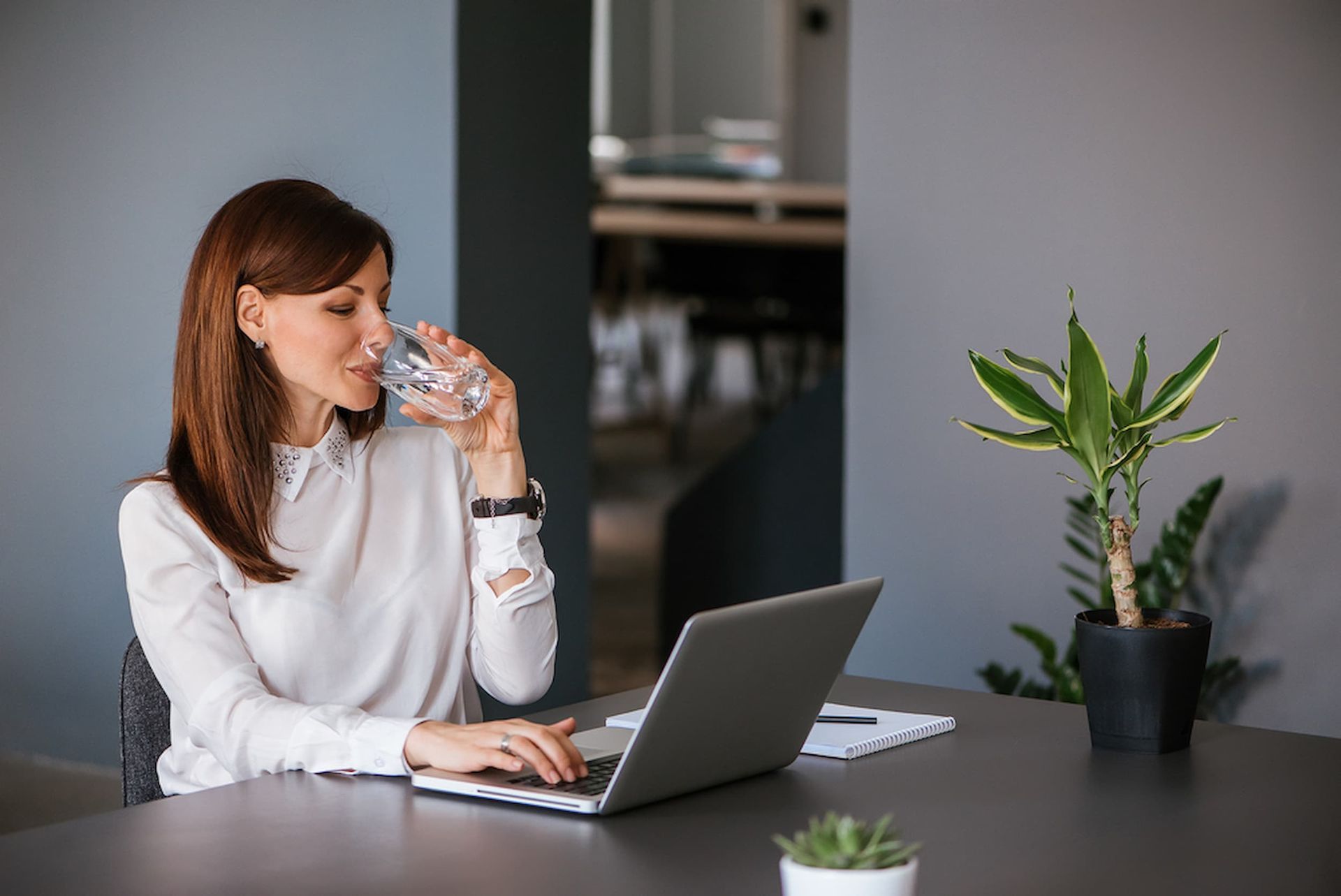 A Woman Is Drinking Water While Using a Laptop Computer — Billabong Springs in Jimboomba, QLD
