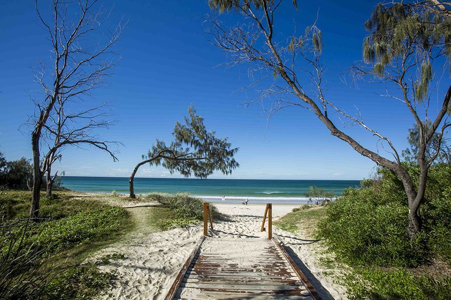 A Wooden Walkway Leading to A Beach Surrounded by Trees — Billabong Springs in Gold Coast, QLD