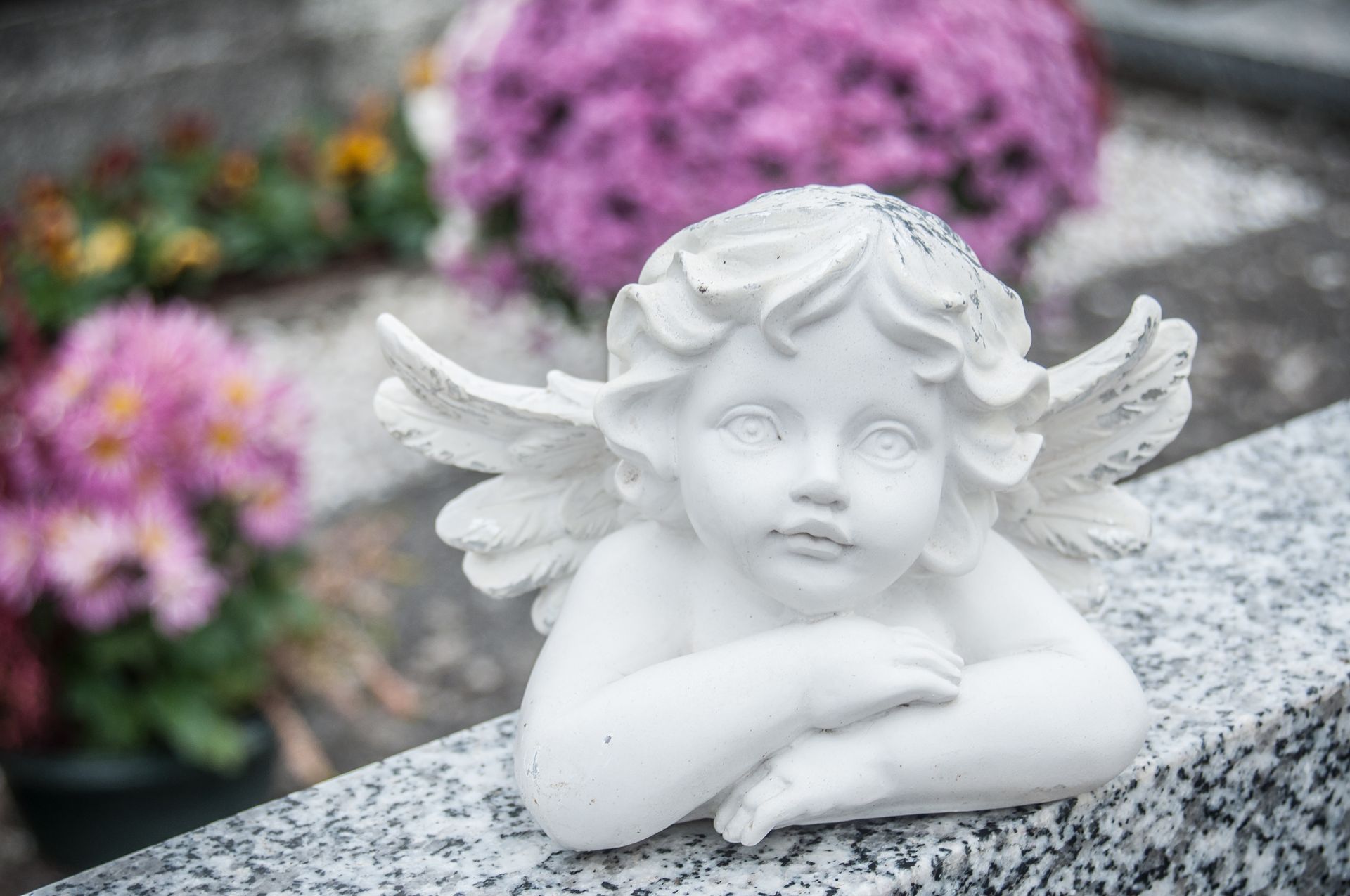 A white cherub statue resting on a grey granite grave marker, with blurred pink flowers in the background.