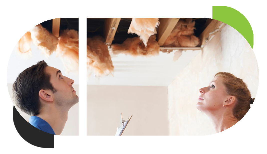 People looking up at the sealing damage caused by leaky pipes