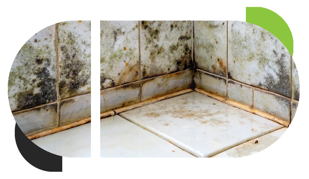 A bathroom floor and wall are full of mold
