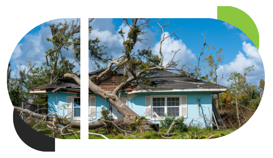 A tree has crushed a home needing storm damage restoration