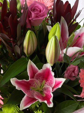 Same Day Delivery - Torrington - Designers Florist - Flowers