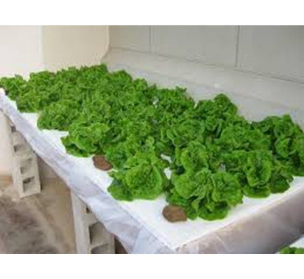 industrial fittings and valves