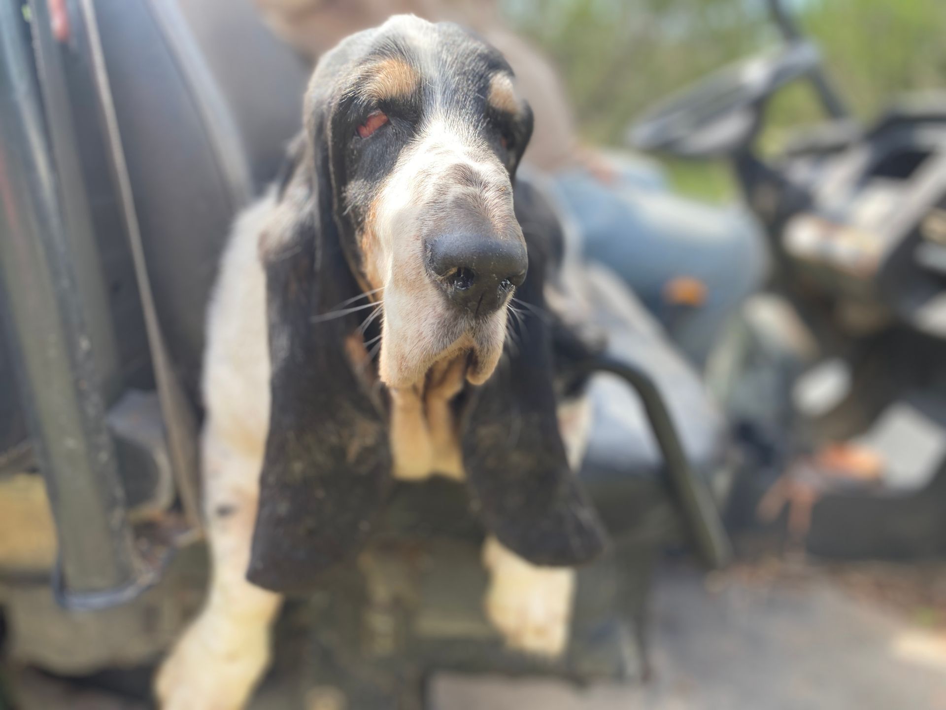 Two chairs are sitting next to a fire pit in front of a cabin.