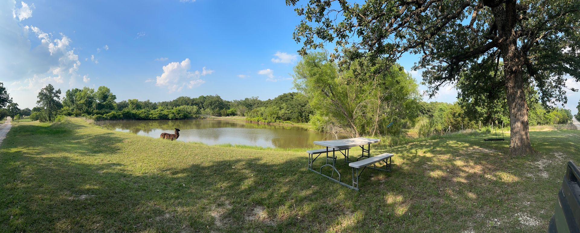 A picnic table is sitting in the grass next to a lake.