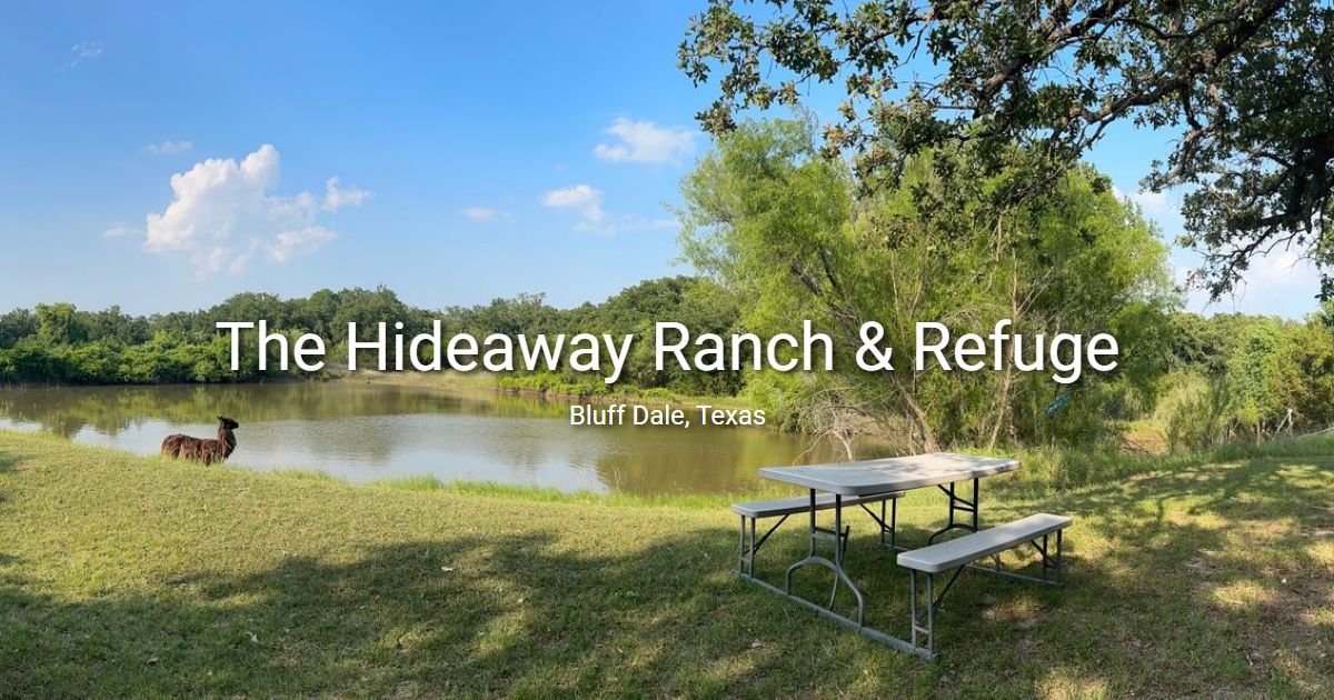 Things to Do Near Bluff Dale Texas - Hideaway RANCH