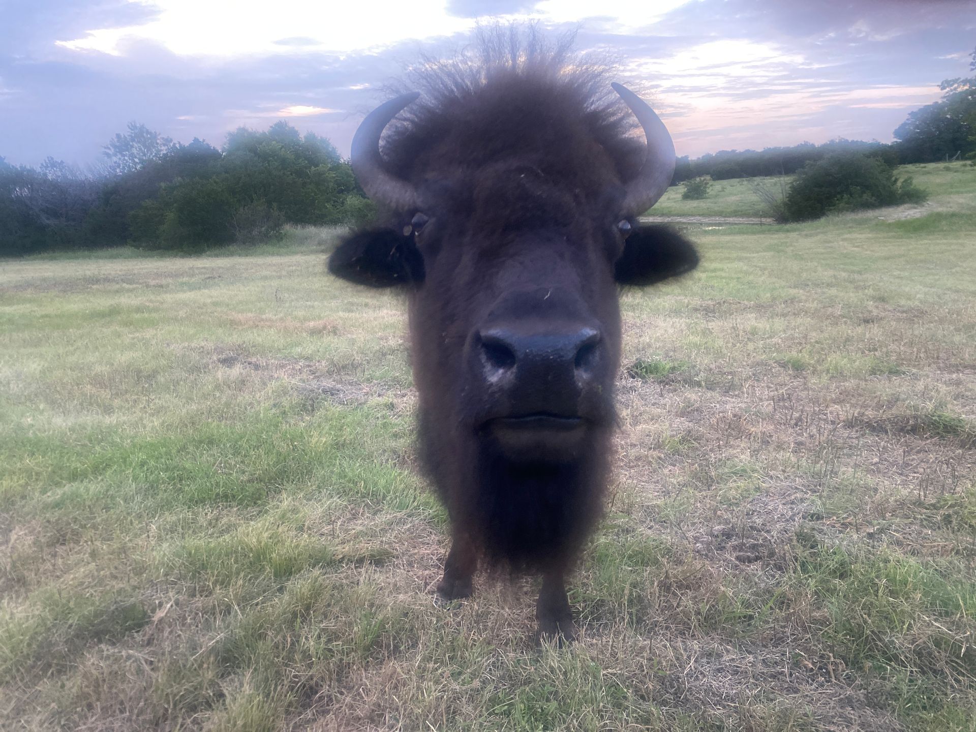 A man and a woman are sitting in rocking chairs on a porch with a dog.