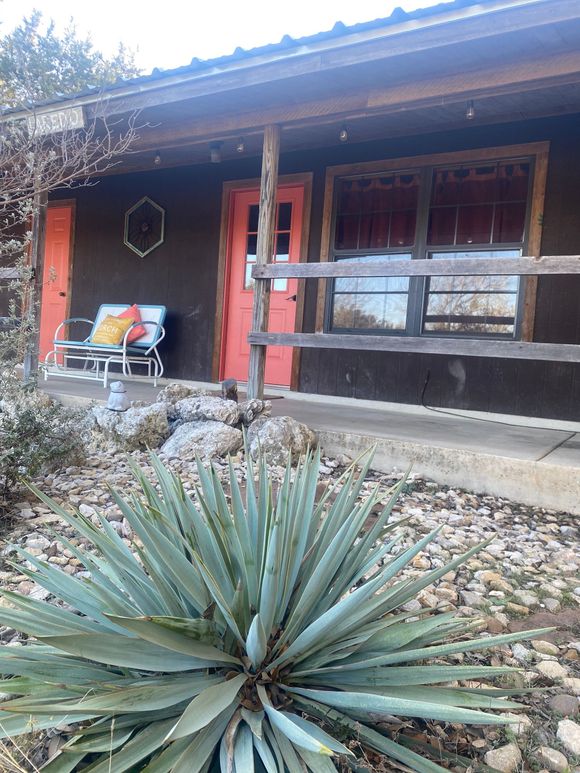 A cactus is growing in front of a house with a red door.