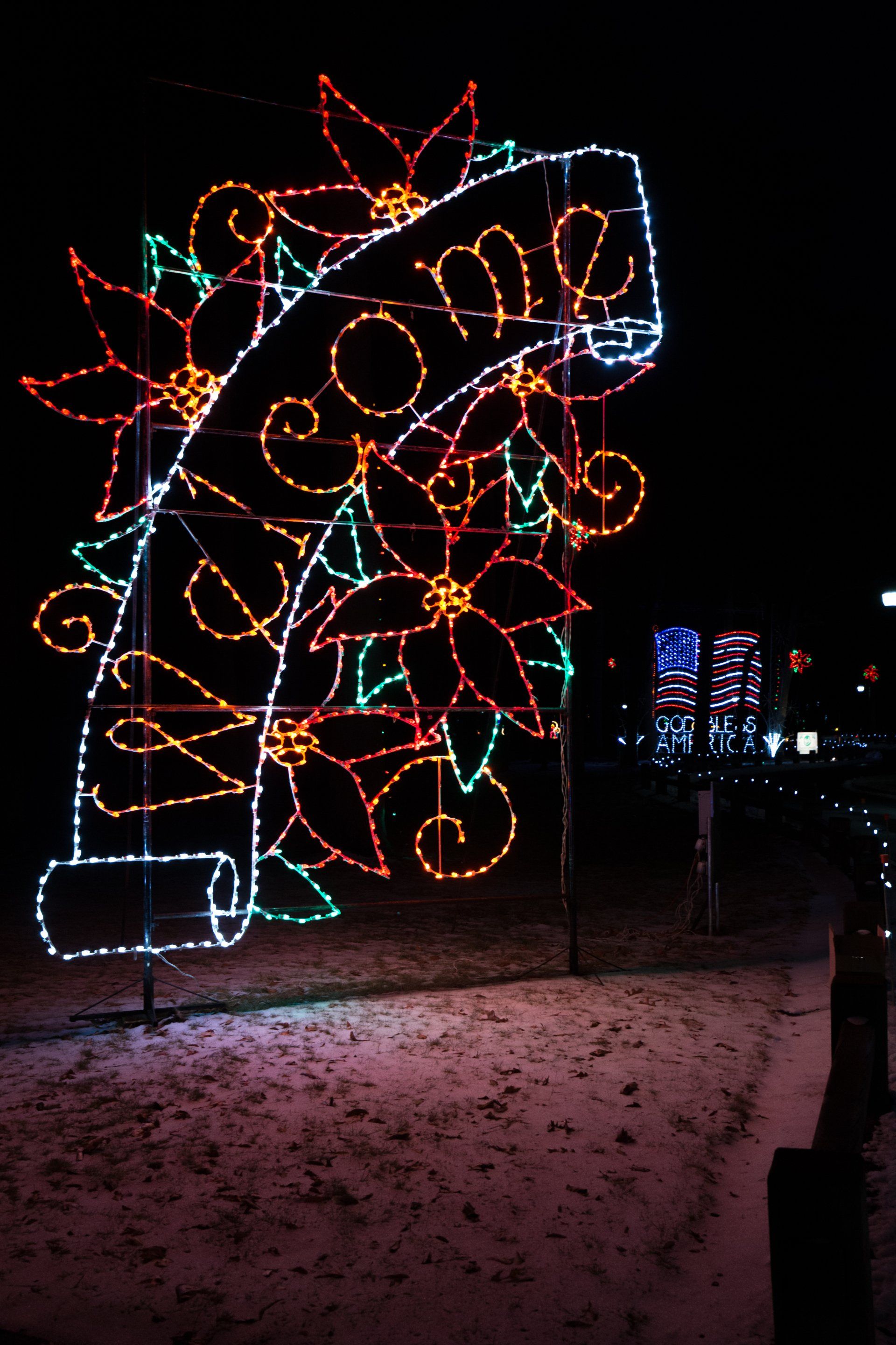 Poinsettia Fantasy Entry