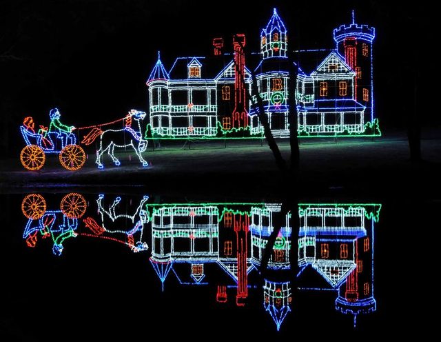 bright nights at forest park
