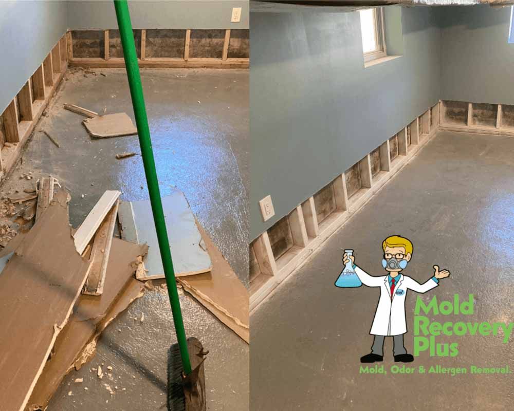 Basement renovation: walls with exposed studs before and after mold removal with a floor coating.