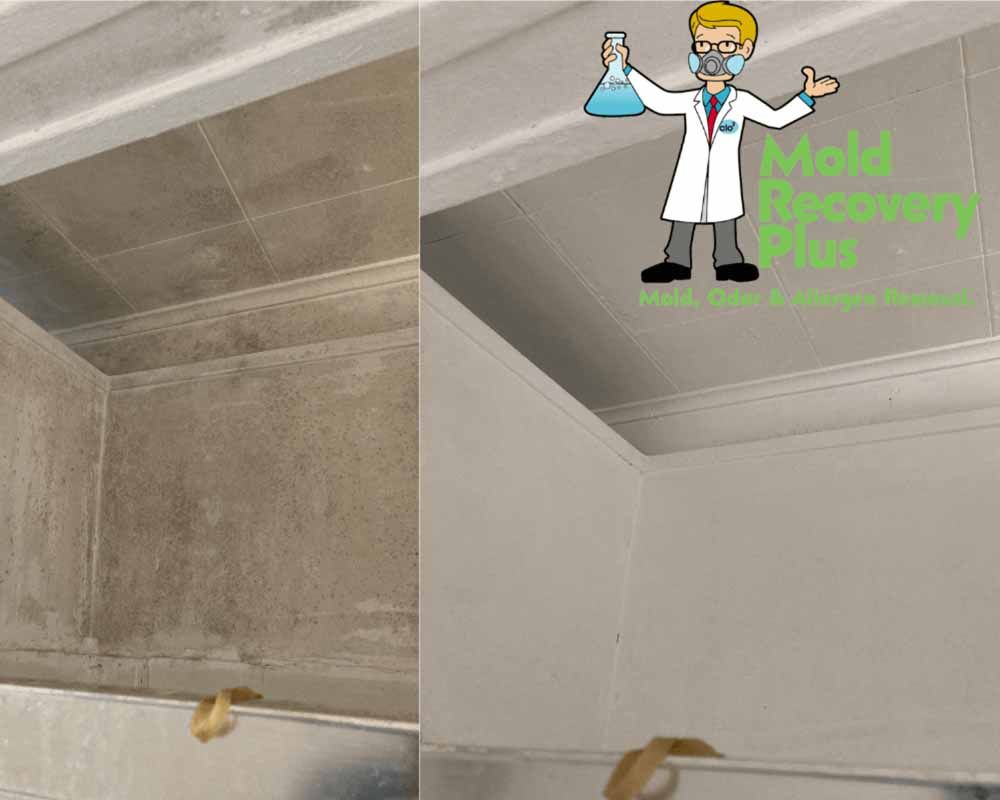 Side-by-side: Moldy bathroom before/after treatment. White walls and ceiling. A cartoon doctor holding a beaker.