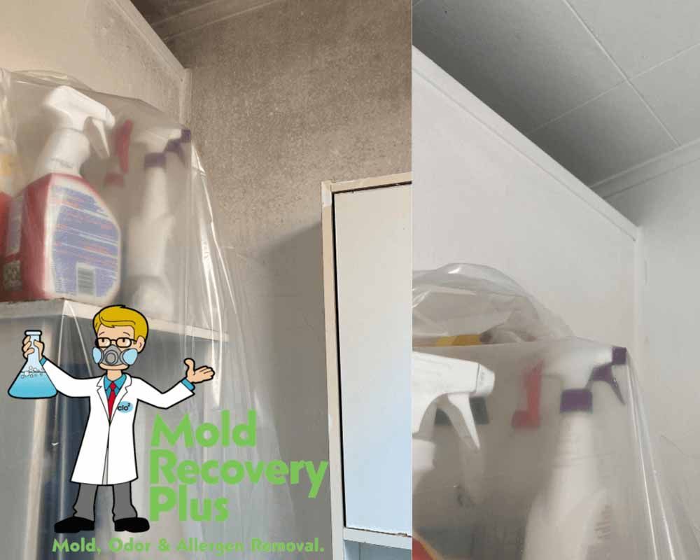 A corner shelf with cleaning supplies covered in plastic sheeting. A cartoon doctor graphic.