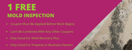 Coupon for 1 free mold inspection. Magenta background with details in white, showing mold on surface.