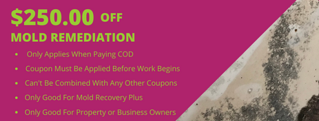 Coupon for $250 off mold remediation. Green text on a pink background. Includes terms and conditions.