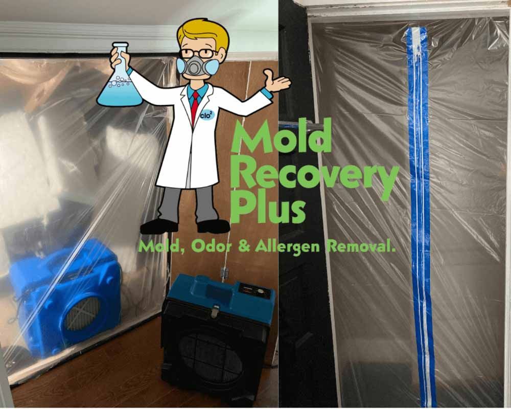 Mold remediation with plastic sheeting, fans, and a logo with a lab coat cartoon.