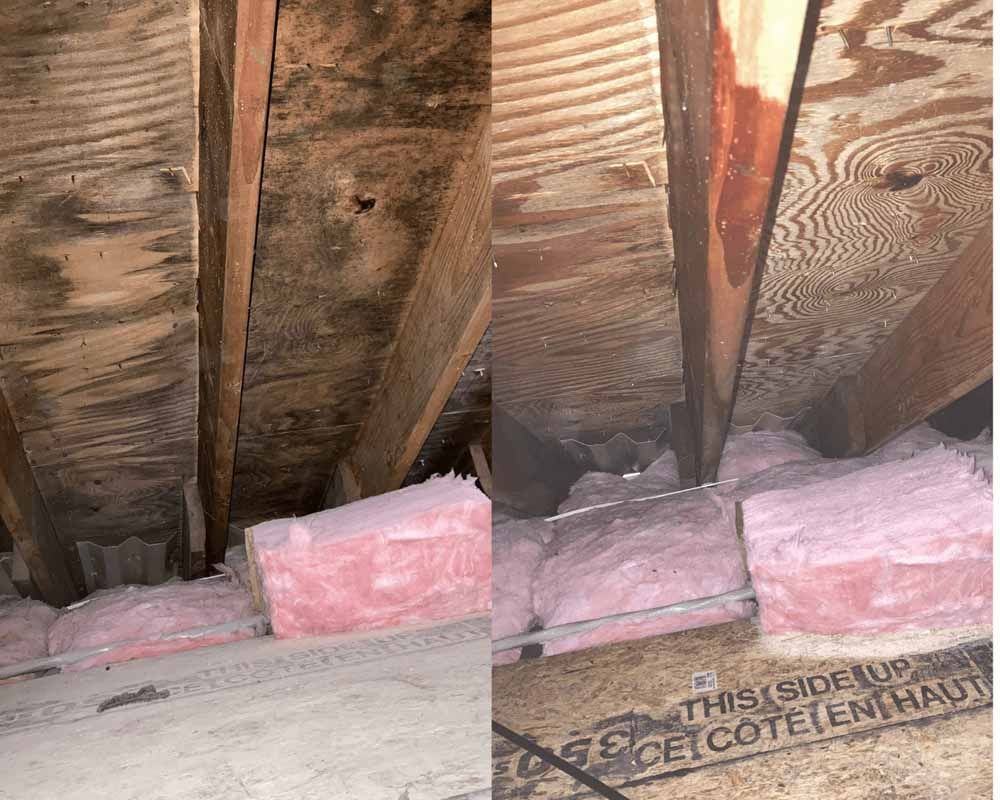 Moldy wood beams in an attic, pink insulation below.