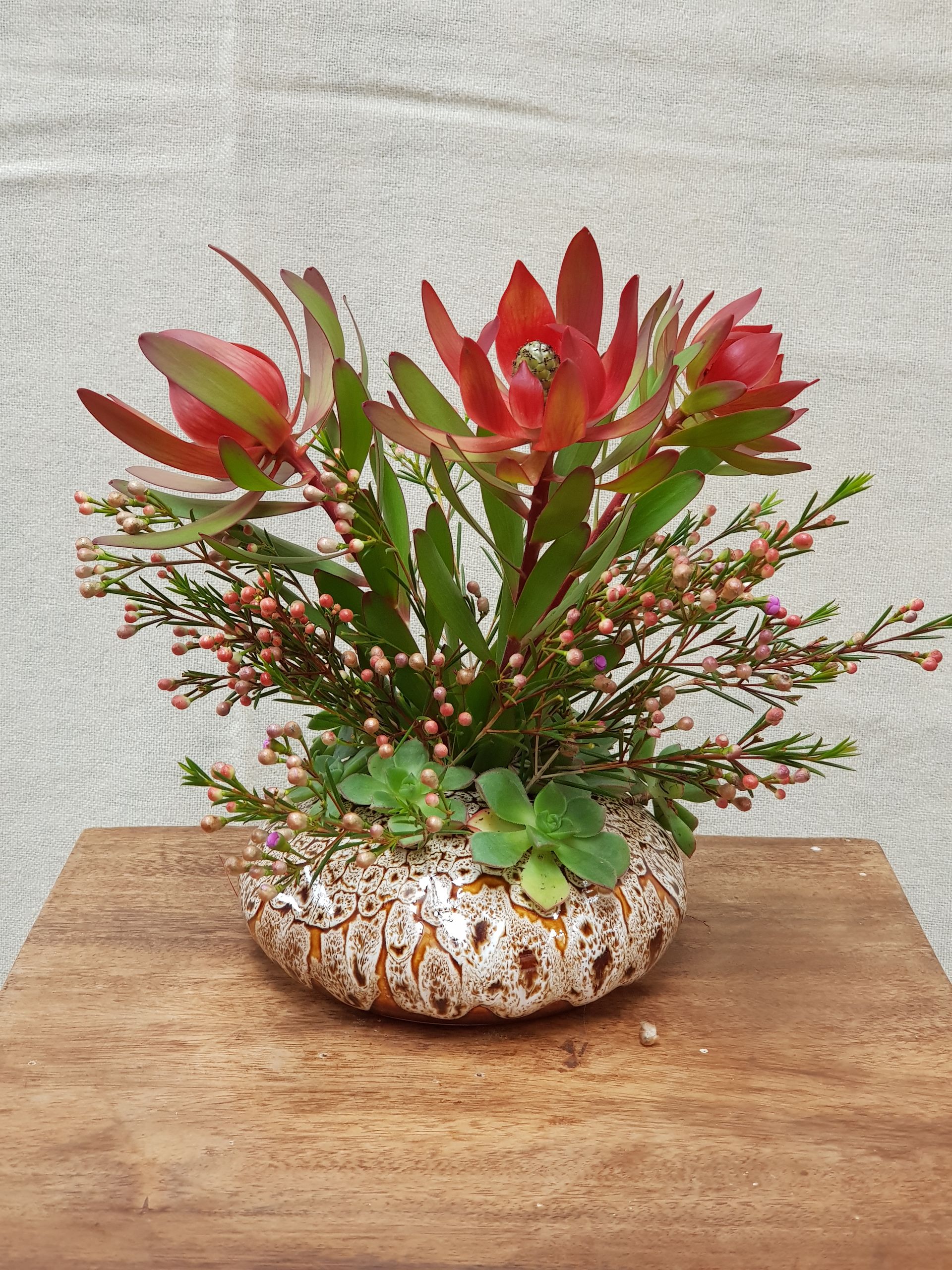 A Turtle Shell PoseyPot filled with flowers is sitting on a wooden table.