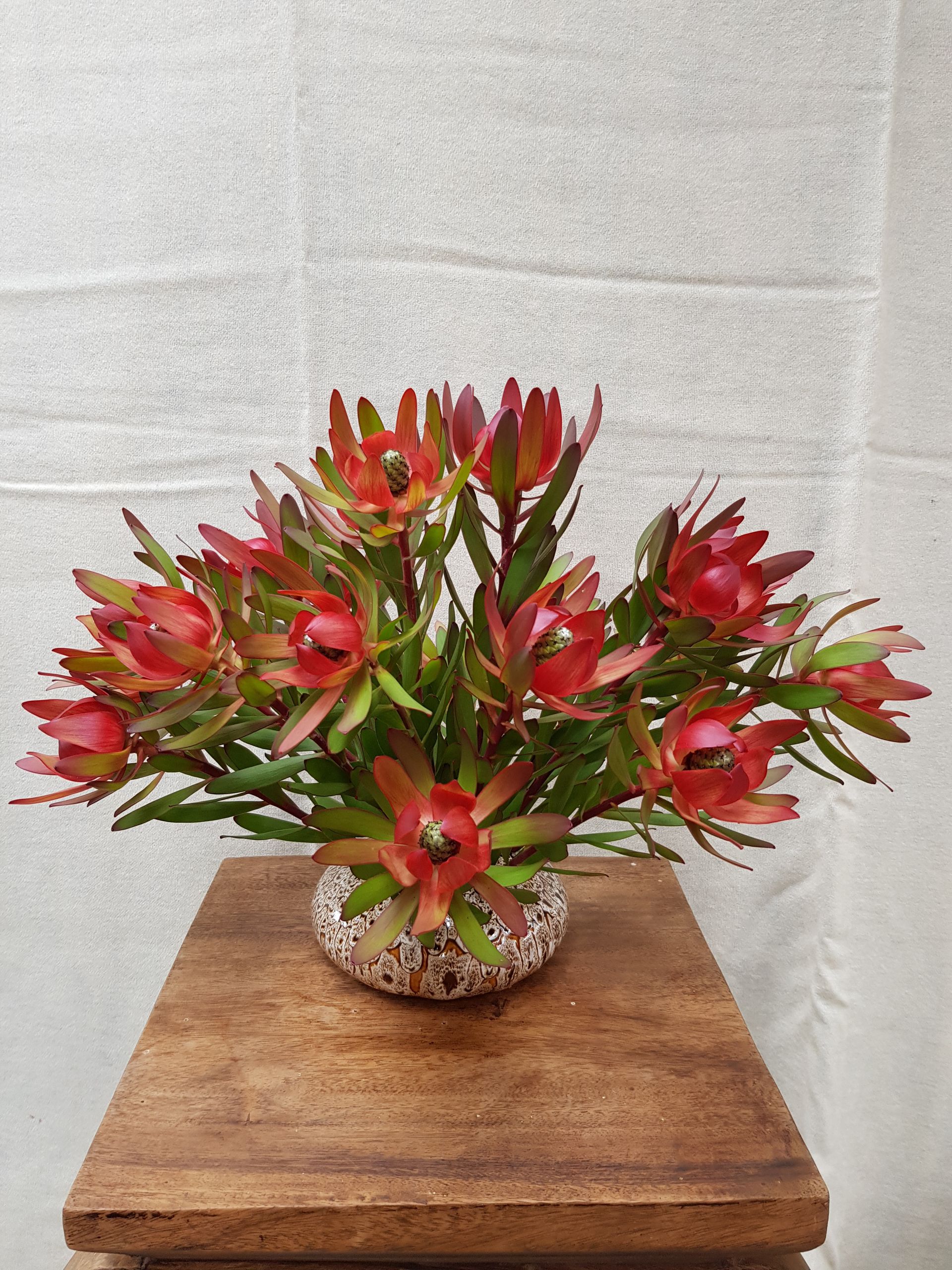A PoseyPot filled with red flowers is sitting on a wooden table.