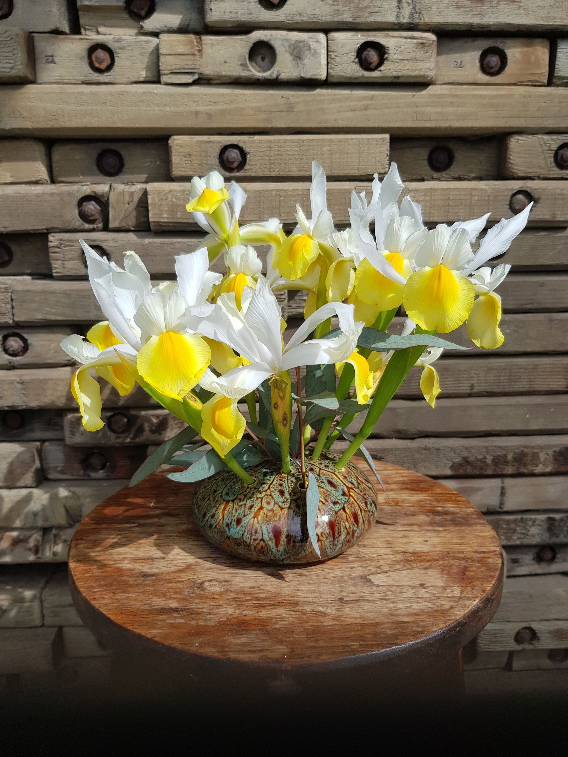 Yellow and white flowers in a Turtle Shell PoseyPot on a wooden table