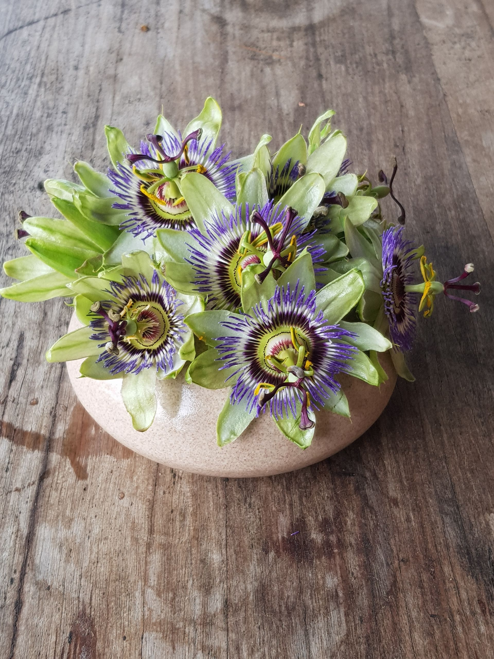 A natural tone PoseyPot filled with purple flowers and green leaves on a wooden table.