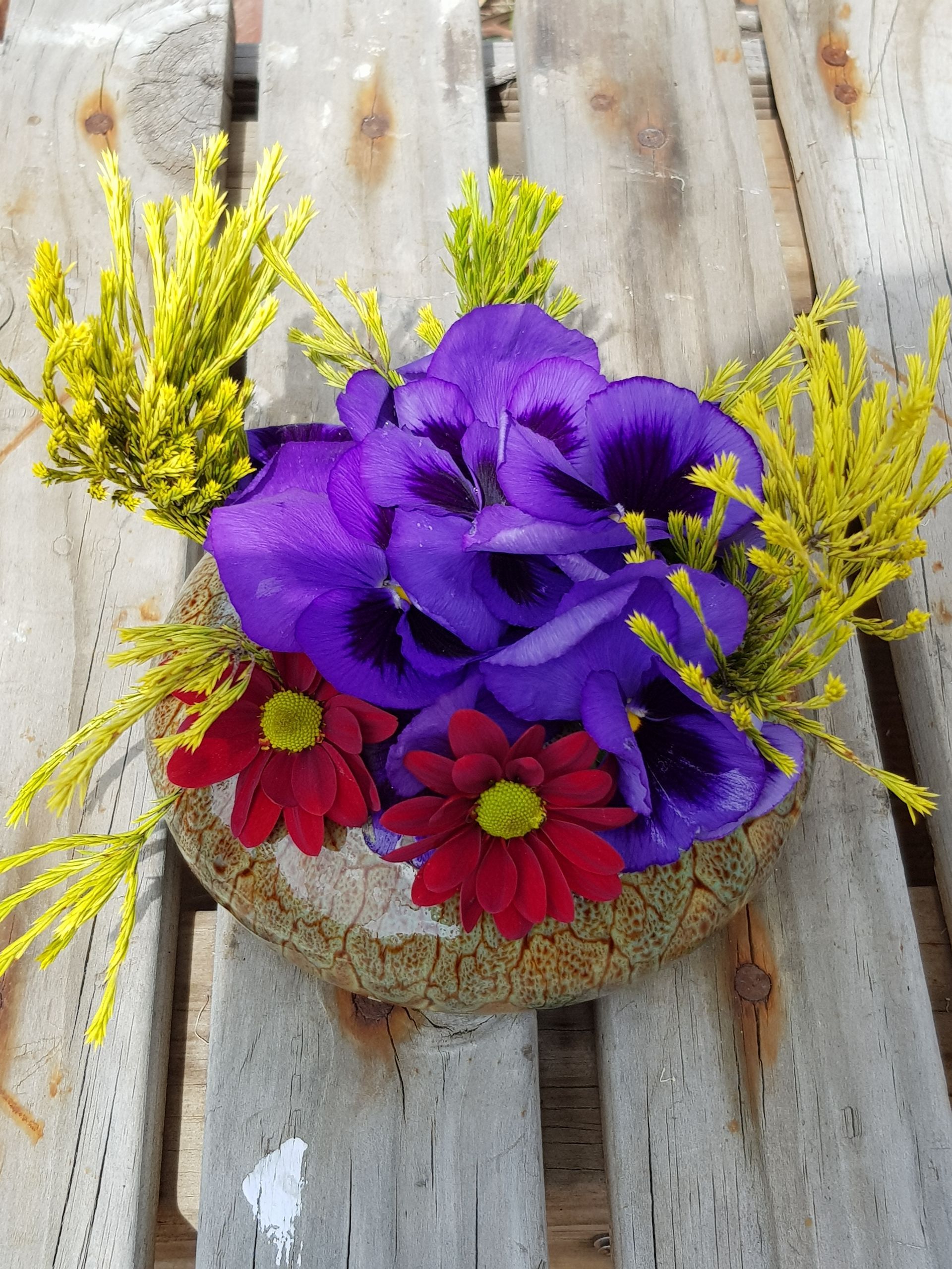 Purple and red flowers in a PoseyPot on a wooden table
