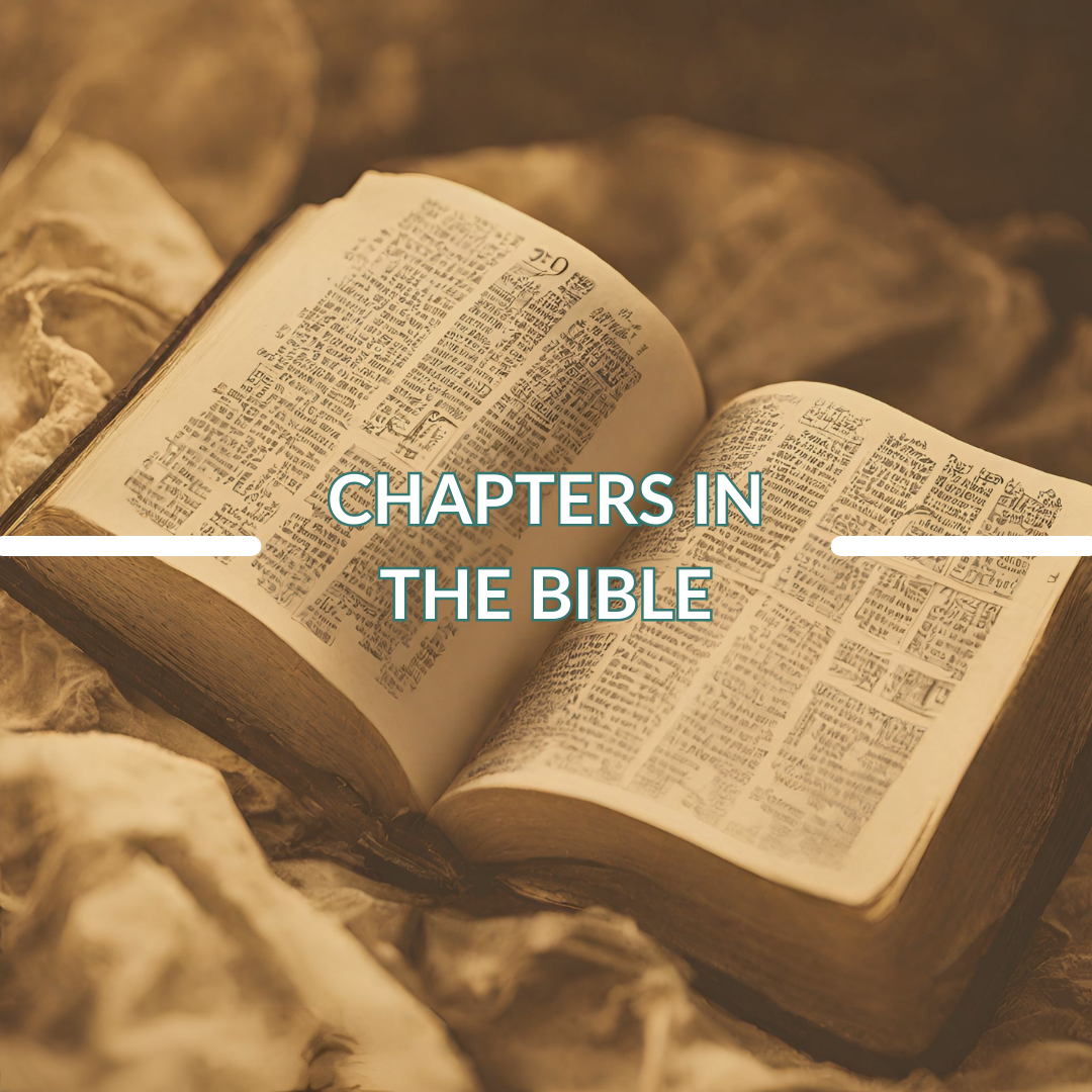 An open Bible and tex saying: Chapter in the Bible