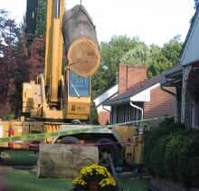 Crane Holding Tree Trunk — Roanoke, VA — Mark's Tree Services