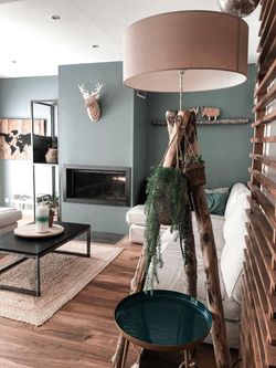 Living room with teal walls, fireplace, and rustic wooden lamp stand with hanging plant.