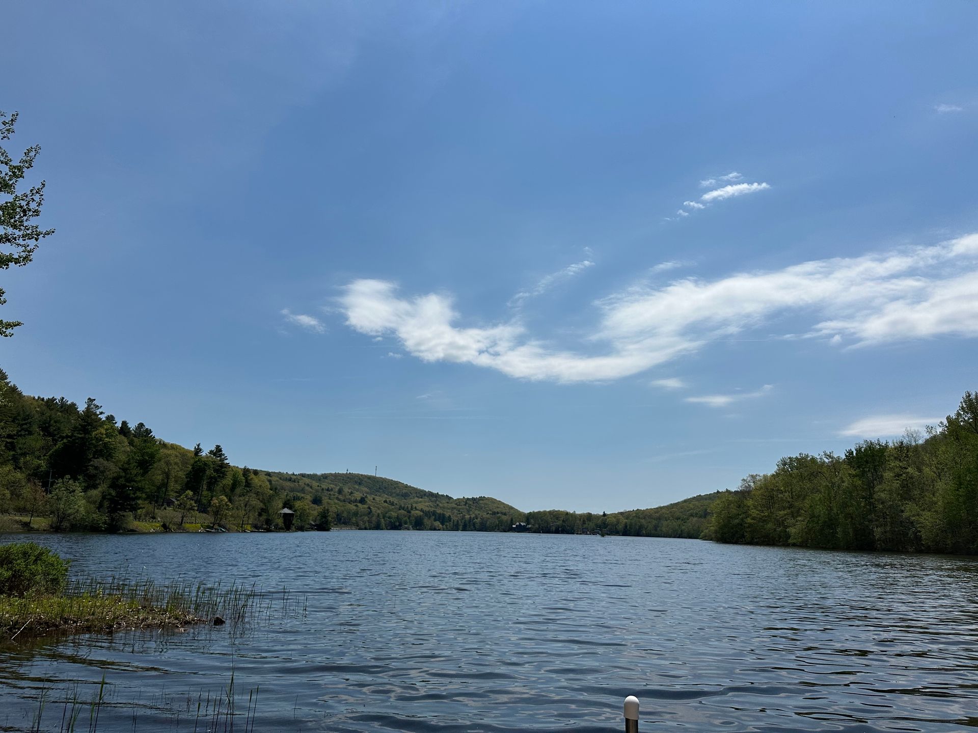 Calm lake with rippling water, forested shores, and a blue sky with wispy clouds