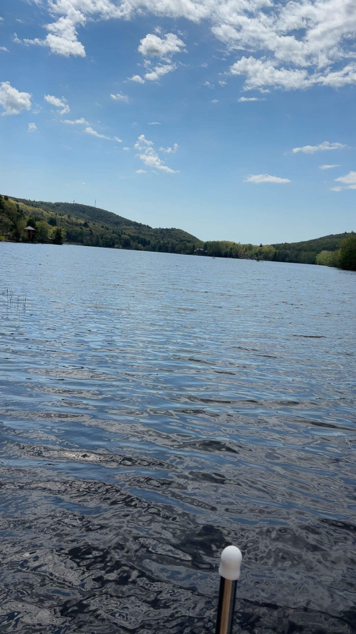 Calm lake with rippling water, forested hills in the distance, and a blue sky with scattered clouds.
