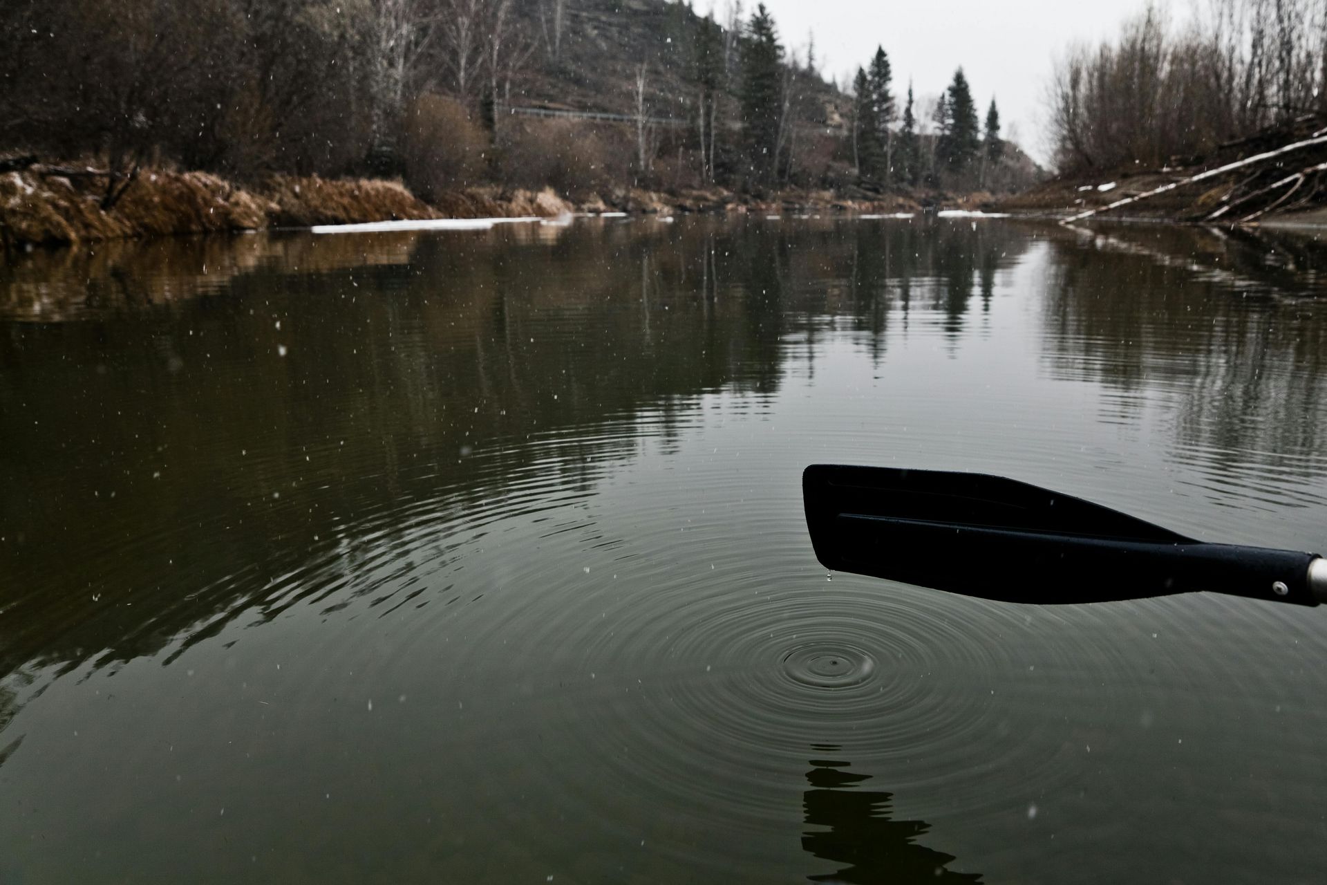 Canoe paddle over a calm river with ripples, bordered by a snowy forest on an overcast day