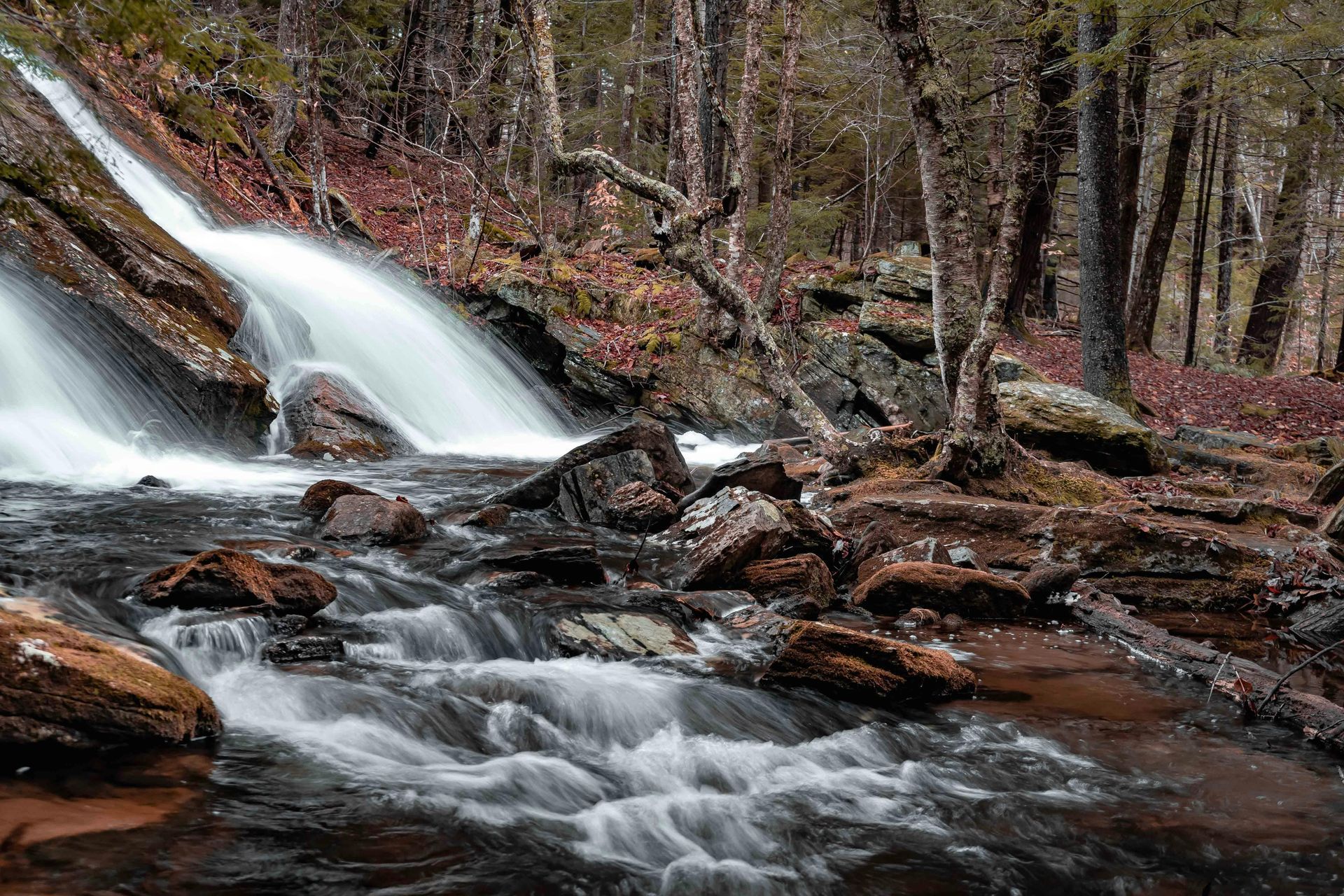 Forest waterfall cascading over rocks into a stream amid bare trees and brown leaves