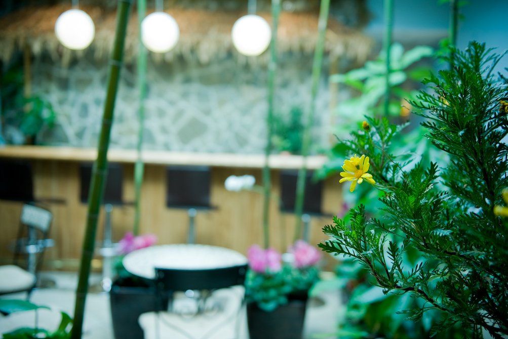 Garden — Great Neck, NY — Butterfly Garden Spa