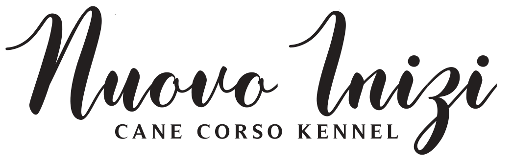 a black and white logo for a Nuovo Inizi cane corso kennel .