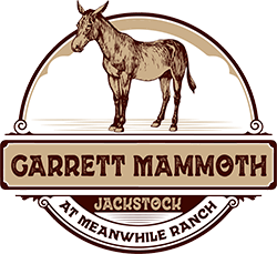 Garrett Mammoth Jackstock