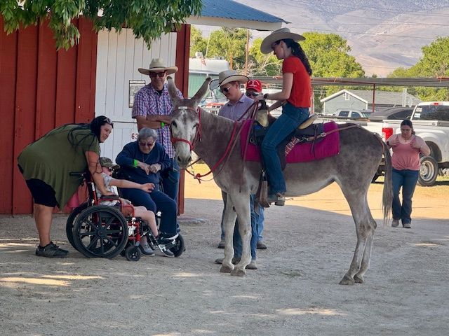 Grady got a new Donkey at Bishop Mule Days named Oklahoma Button. photo of Wishbone, a Garrett saddle donkey.