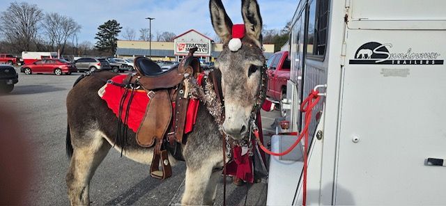 Dana Wilson wishing you a Merry Christmas from her and Wishbone. 